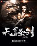小说：天尊圣剑，作者：琵琶觅知音