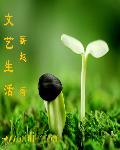 小说：文艺生活，作者：薪越