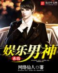 小说：娱乐男神系统，作者：网络仙人