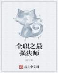 小说：全职之最强法师，作者：嘻阳