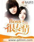 小说：BOSS很专情，作者：哎哟是山竹