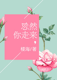 小说：忽然你走来，作者：楼海