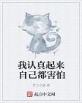 小说：我认真起来自己都害怕，作者：梦之花瓣