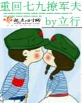 小说：重回七九撩军夫，作者：立行