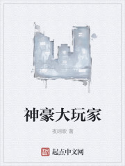 小说：神豪大玩家，作者：夜翊歌