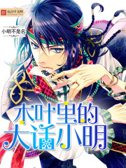 小说：木叶里的大话小明，作者：小明不是名