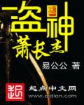 小说：盗神萧长杰，作者：易公公