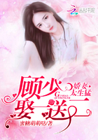 小说：娇妻太生猛：顾少，娶一送二！，作者：蜜糖萌萌哒