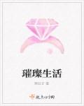 小说：璀璨生活，作者：眉公子