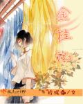 小说：金桂记，作者：玲珑邀