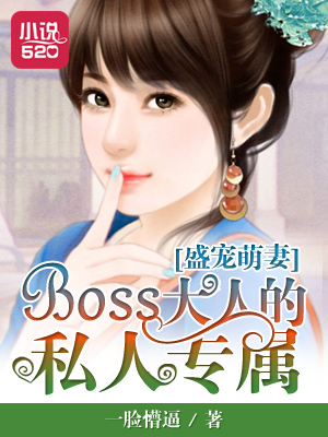 小说：盛宠萌妻：BOSS大人的私人专属，作者：一脸懵逼