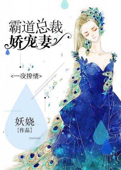 小说：一夜撩情：霸道总裁娇宠妻，作者：妖娆