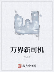 小说：万界新司机，作者：神问