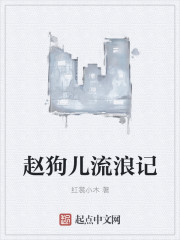 小说：赵狗儿流浪记，作者：红裳小木