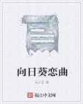 小说：向日葵恋曲，作者：雨之哥