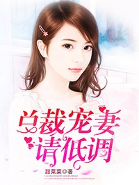 小说：总裁宠妻请低调，作者：甜菜菜