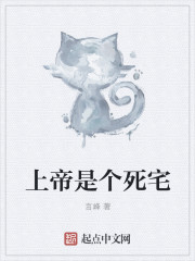小说：上帝是个死宅，作者：言峰