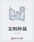 小说：文明仲裁，作者：疯二神