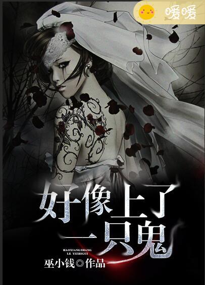 小说：好像上了一只鬼，作者：巫小钱