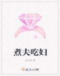小说：煮夫吃妇，作者：尖尖刺