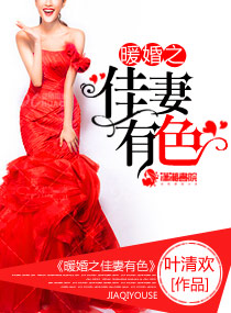 小说：暖婚之佳妻有色，作者：叶清欢