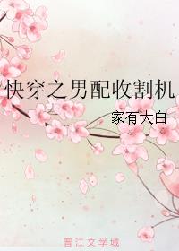 小说：快穿之男配收割机，作者：家有大白