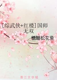 小说：[综武侠+红楼]国师无双，作者：糖醋松花鱼