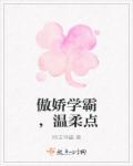 小说：傲娇学霸，温柔点，作者：哈吉咩酱