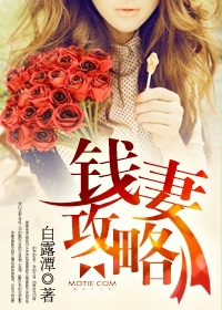 小说：钱妻攻略，作者：白露潭