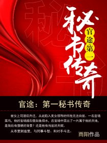 小说：官途：第一秘书传奇，作者：万路之遥