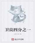 小说：卫良四分之一，作者：幻影日益