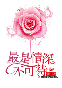 小说：最是情深不可待，作者：镜子
