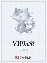 小说：VIP玩家，作者：三夜瞳