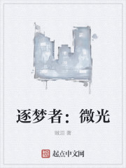 小说：逐梦者：微光，作者：贼泪