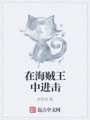 小说：在海贼王中进击，作者：断愁绪