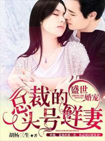小说：盛世婚宠：总裁的头号鲜妻，作者：胡杨三生