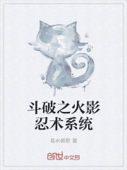 小说：斗破之火影忍术系统，作者：易水朝歌