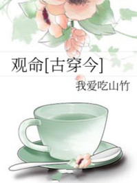 小说：观命[古穿今]，作者：我爱吃山竹