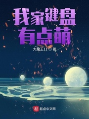 小说：我家键盘有点萌，作者：大魔王11