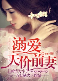 小说：画情为牢，溺爱天价前妻，作者：五行缺火