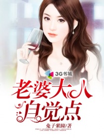 小说：老婆大人自觉点，作者：兔子紫瞳