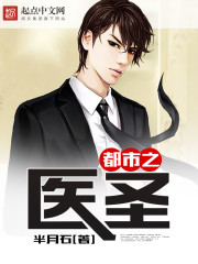 小说：都市之医圣，作者：半月石