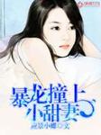 小说：暴龙撞上小甜妻，作者：应景小蝶
