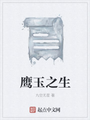 小说：鹰玉之生，作者：九空无星