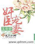 小说：奸臣宠妻，作者：玉非妍