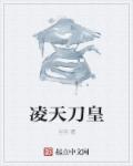 小说：凌天刀皇，作者：尘包