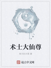 小说：术士大仙尊，作者：南方的大雪