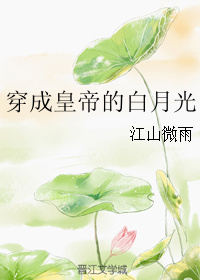 小说：穿成皇帝的白月光，作者：江山微雨