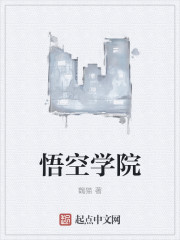 小说：超时空劫匪，作者：魏猫