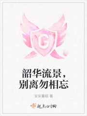 小说：韶华流景，别离勿相忘，作者：安安暮烟